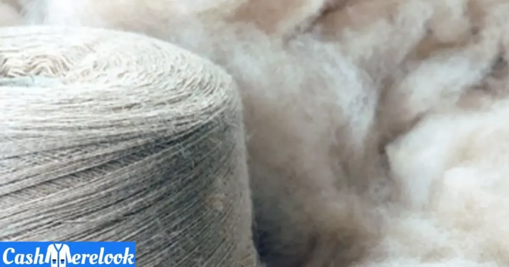 Production Process of Cashmere